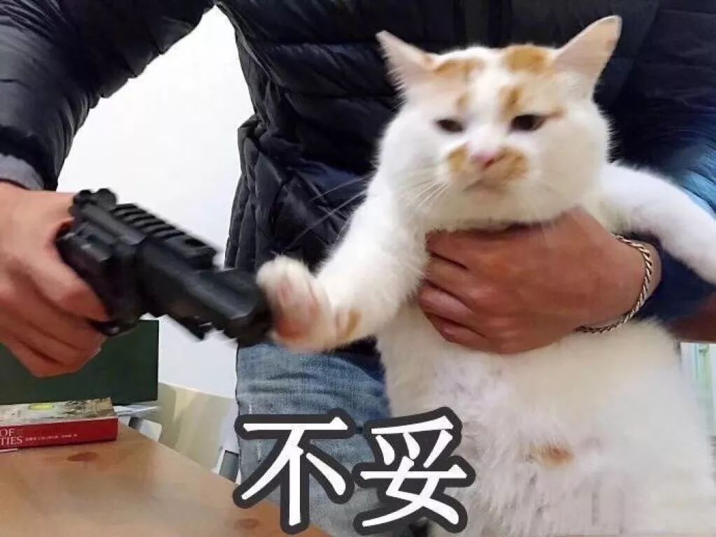 新年新技巧!这几种人设可以为你在同学会“杀”出一条血路!