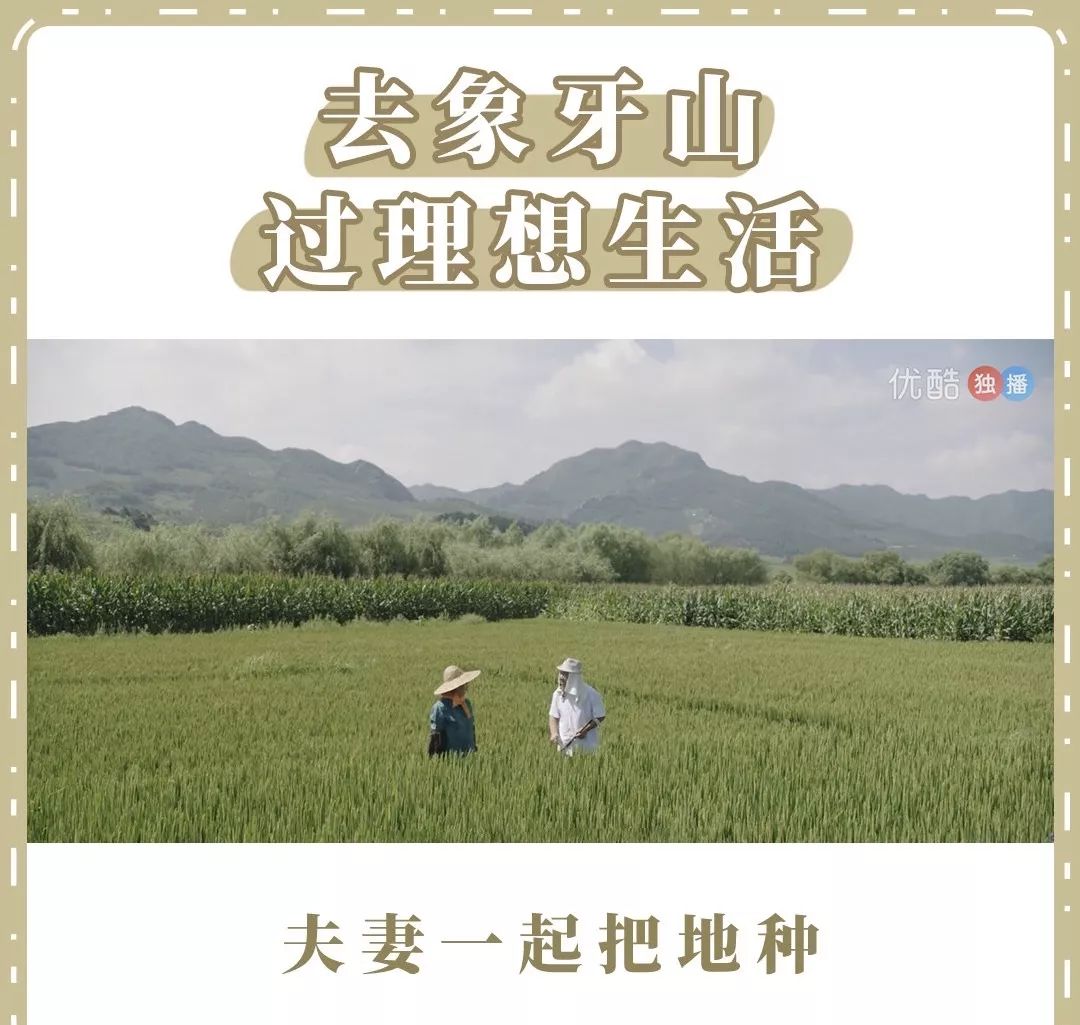 话题 | 乡村爱情,中国的乡土版迪士尼