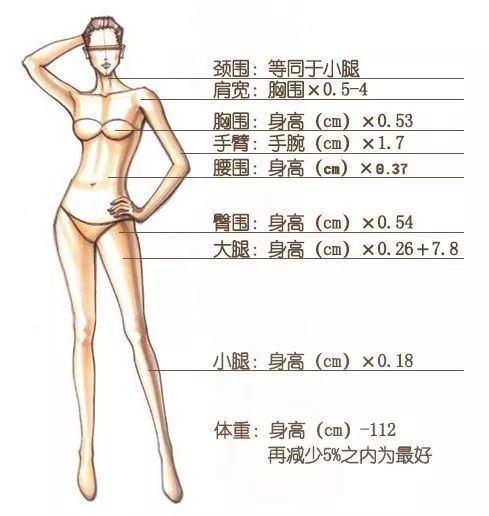 人体身体比例的图片,解释了人类在身材上大致比较标准的黄金比例为